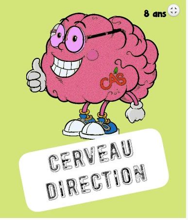 Cartes Cerveau Direction Cas