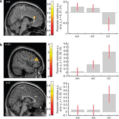 Effect Of ZNF804A Rs1344706 Genotype On Cognitive Control Related