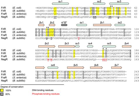 Evolutionary Conservation Of Amino Acids In FrlR Homologs Multiple