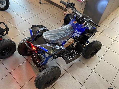 ATV Quad 1200 Watt 48 Volt Betriebsbereit Cantone Argovia Tutti Ch