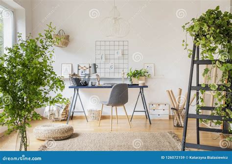 Plants in White Spacious Home Office Interior with Pouf on Carpet Near Grey Chair at Desk. Real ...