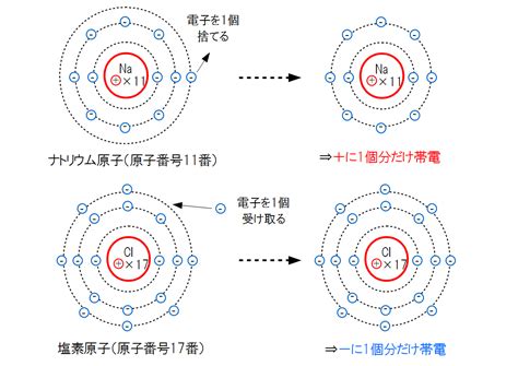 陽イオン・陰イオンって何？違いや原理、見分け方を理系ライターが5分で分かりやすくわかりやすく解説！ ページ 2 Study Z