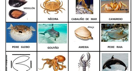 Todos Os Nomes De Animais Em Inglês - BRAINCP