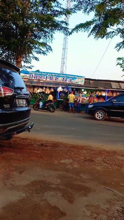 manusia membel youtube