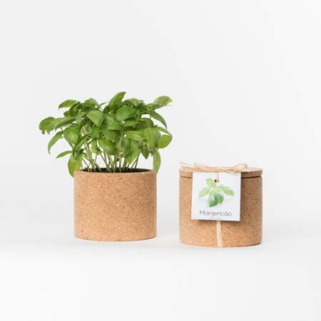 Um Horta Em Casa Um Presente Original Pote De Corti A Para Cultivar