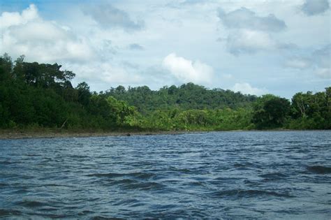 Descenso Hacia El Amazonas