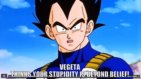 Vegeta And Stupidity Quickmeme