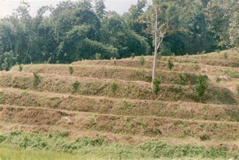 Terracing Soil And Water Conservation Department Government Of Meghalaya