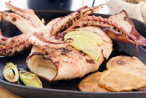 Grilled Cuttle Fish Stock Photo Image Of Delicious Barbecue 11280954