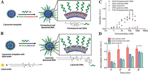 Frontiers Dna Nanostructure As An Efficient Drug Delivery Platform