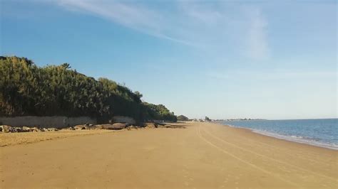 Cinco Playas Cerca De Jerez Para Pasear A Tu Perro