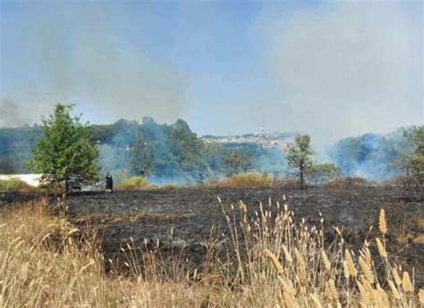 Incendio Nel Parco Del Pineto Fiamme Nel Centro Estivo Bambini