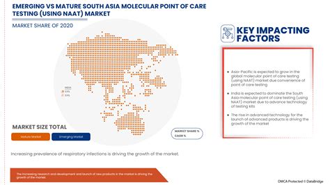 South Asia Molecular Point Of Care Testing Using Naat Market Size