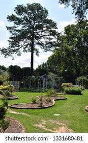 Birmingham Birmingham Botanic Garden Royalty Free Images Stock