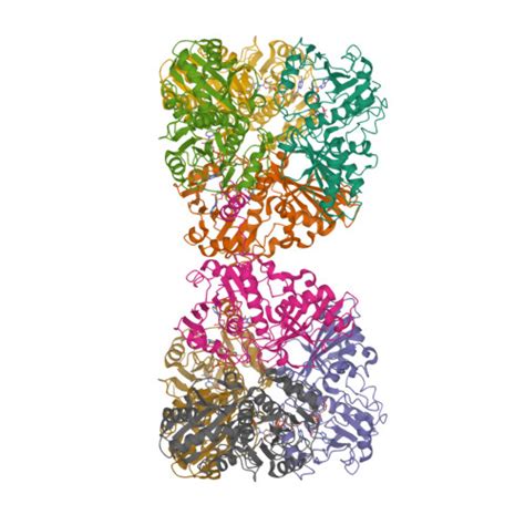 RCSB PDB 7Q54 Single Particle Cryo EM Structure Of Photosynthetic