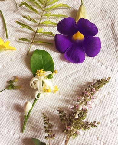 Flores prensadas para tus libros Agrochic Jardinería y Bienestar