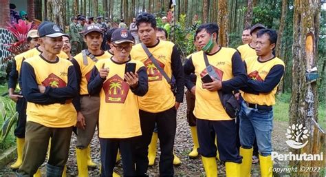 Perhutani Mmp Mpa Paras Jaya Binaan Perhutani Raih Juara Ii Penilaian