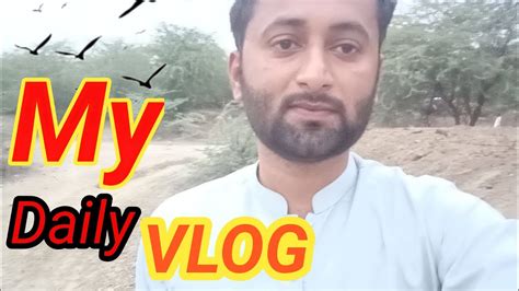 Daily Vlog Village Daily Viral Vlog My Vlog Daily 🔥 Youtube