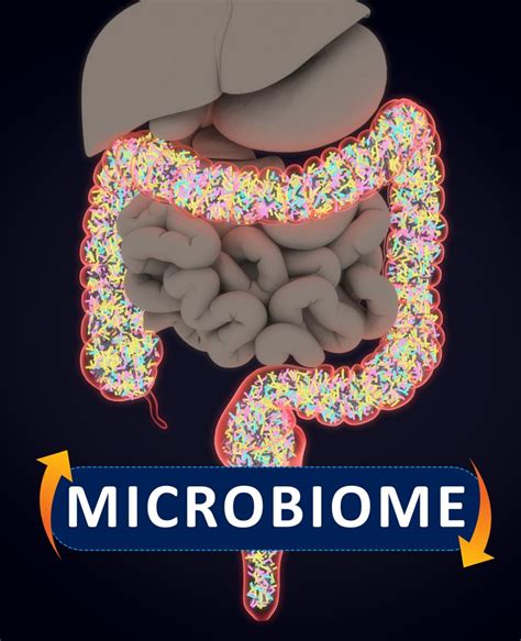 Probiotics Prebiotics Microbiome What Do They Mean Thriven