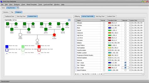 Part 4 Coding The Color And Symbols Chart Breeding Better Dogs