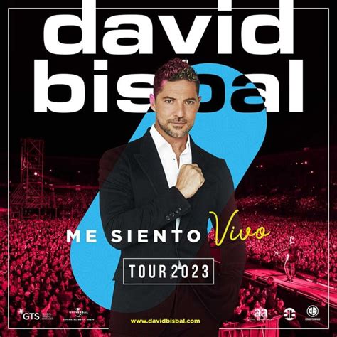 Cabaret Festival Concierto De David Bisbal En Plaza De Toros Roquetas