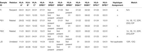 Frontiers Humanized Mouse Model As A Novel Approach In The Assessment