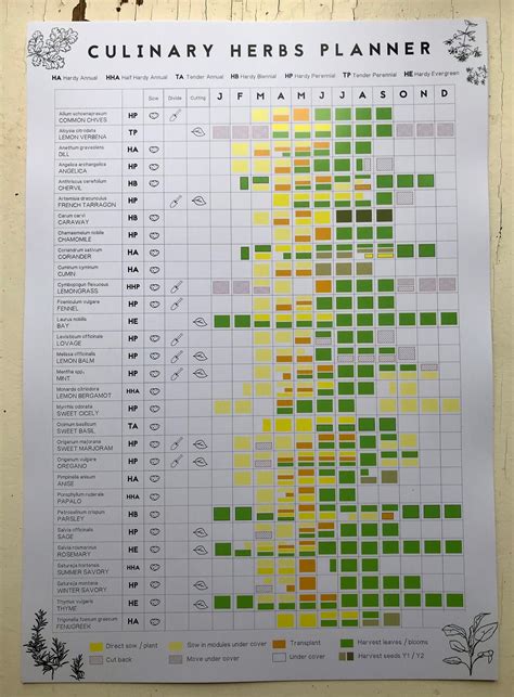 Herb Planting Chart