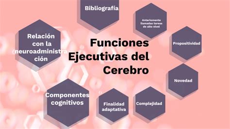 Funciones Ejecutivas Del Cerebro By Julieth Ciro Campillo On Prezi