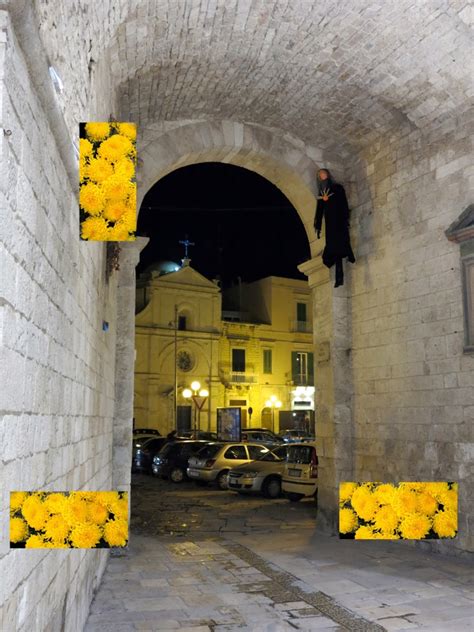 Quindici Molfetta Un Centro Storico Addobbato Con Crisantemi La