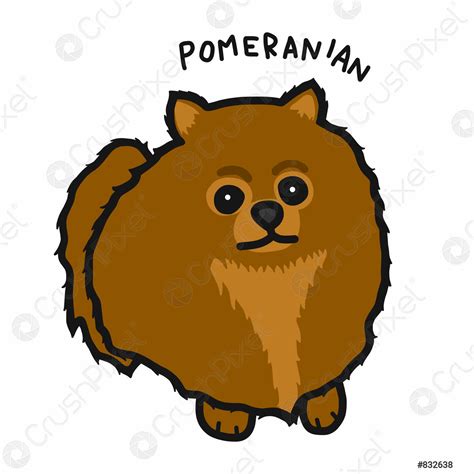 Pomeranian Dog Cartoon