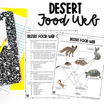 Desert Food Chains Food Web Worksheets NC Science Standards 5 L 2 3