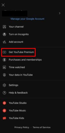 How To Play Youtube In Background Android And Iphone