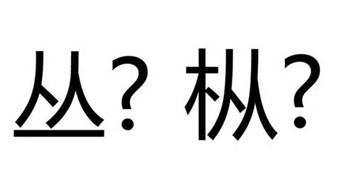 拜託，別再讓我看見「樅」字！ 每日頭條