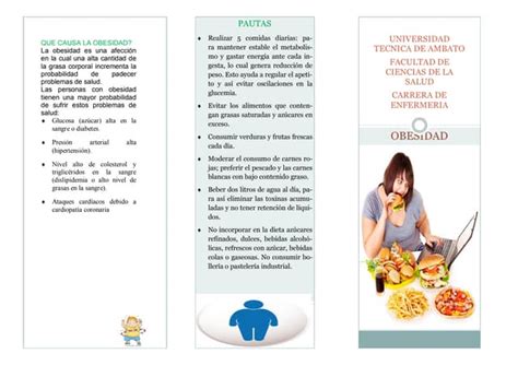 Triptico Obesidad Ppt