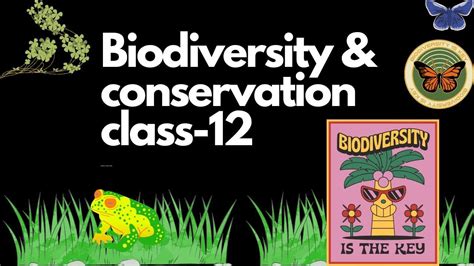 Biodiversity And Conservation Class Boards Youtube