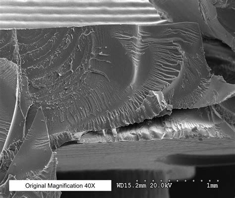 Environmental Stress Cracking Within Automotive Components