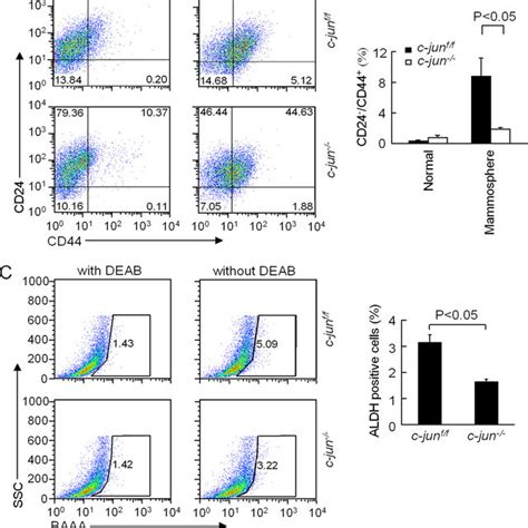 C Jun Promotes Mammary Epithelial Tumor Stem Cell Expansion A Download Scientific Diagram