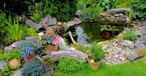 20 Must Try Driftwood Ideas For Garden Start Decorating Now