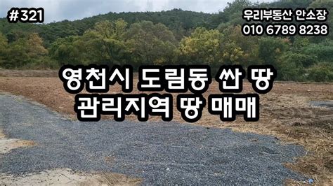 영천시 도림동 싼 땅 관리지역 땅 매매 Youtube