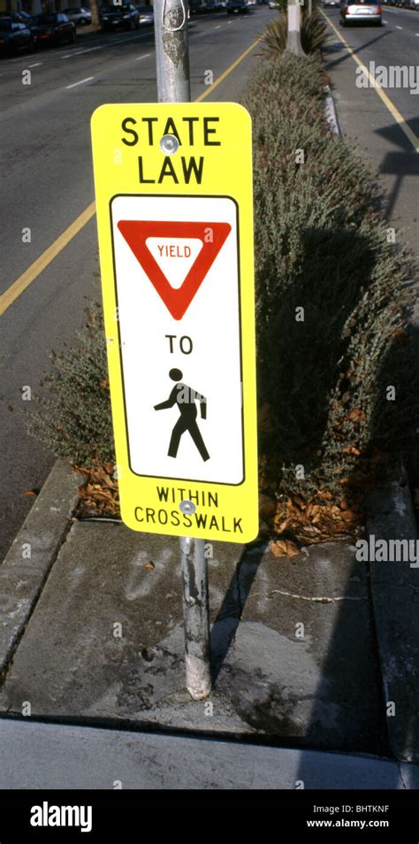 Sign State Law Yield To Pedestrians Within Crosswalk Stock Photo Alamy