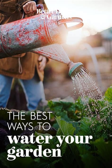 Your Season By Season Guide To Effective Garden Watering Water Garden Gardening Tips Garden Care