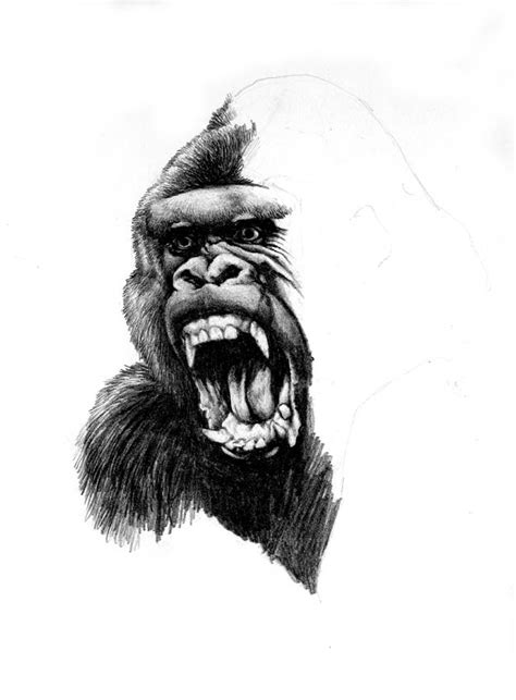 King Kong-Sketch by Buchemi on DeviantArt