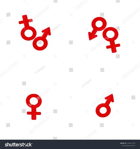 Male Female Sex Types เวกเตอร์สต็อก ปลอดค่าลิขสิทธิ์ 1244413120 Shutterstock