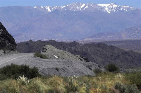 Paisaje Con Campos Verdes Arbustos Fondo De La Cordillera De Los Andes