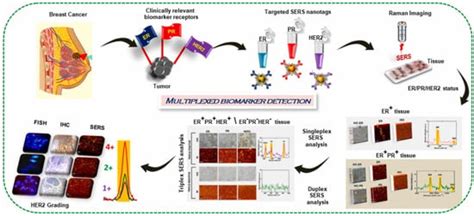 Biosensors Free Full Text Plasmonic Nanoparticle Enhanced Optical Techniques For Cancer