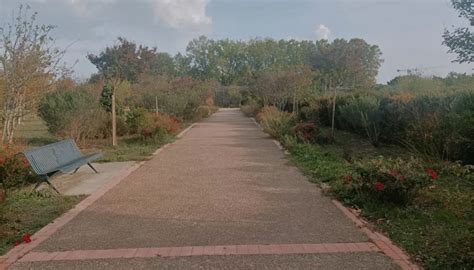 Parc De La Maourine De Toulouse Guide Et Infos Pratiques