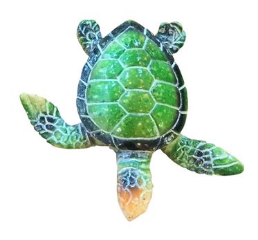 Classic Blue Or Green Baby Turtle Magnet Gecko Interiors