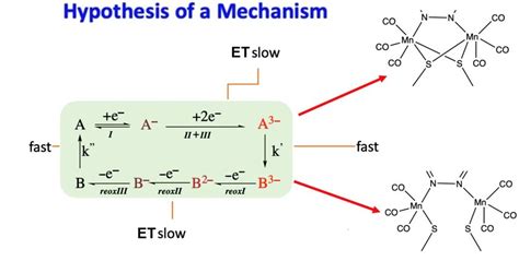 Scheme 2. Simplified mechanism proposed to rationalize the experimental ... 