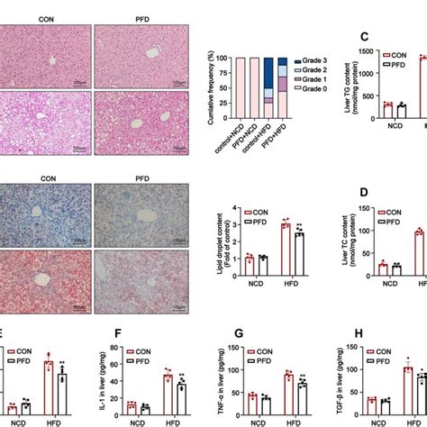 Pfd Attenuates Hepatic Steatosis And Inflammatory Responses Induced By