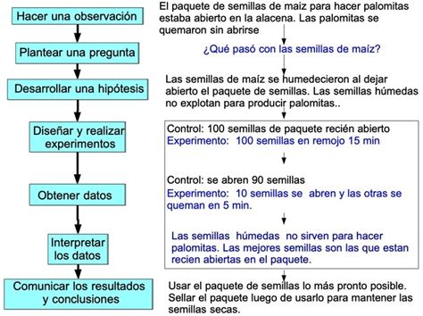 11 Ejemplos De Método Científico Explicados 2024